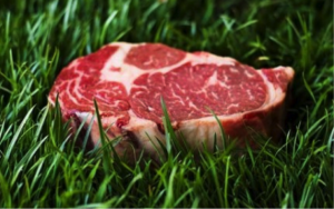 grass-fed steak is more nutritious than corn-fed steak because it is a leaner meat and contains essential amino acids that corn-fed cattle do not develop in their body due to a lack of exercise and an inferior diet