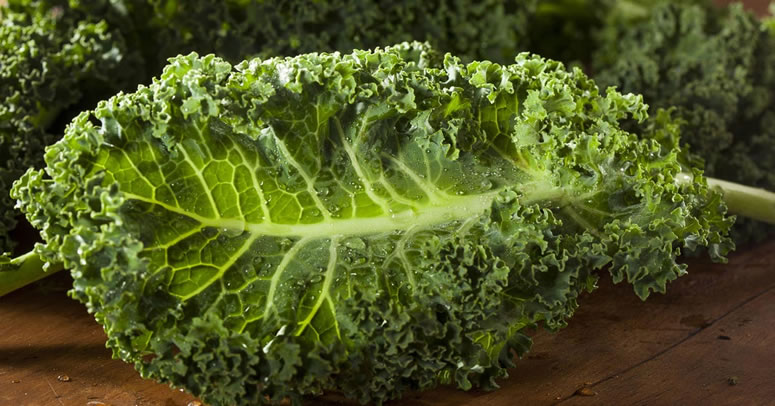 Kale super food