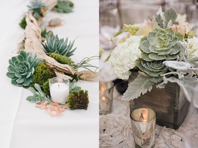 succulents centerpiece