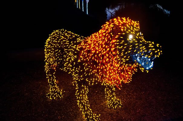 zoo lights phoenix zoo