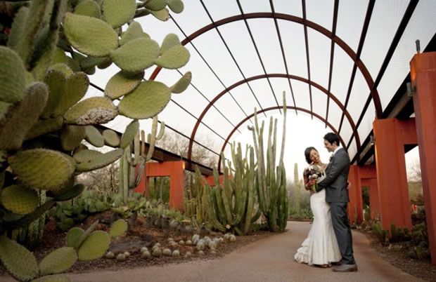 desert botanical gardens