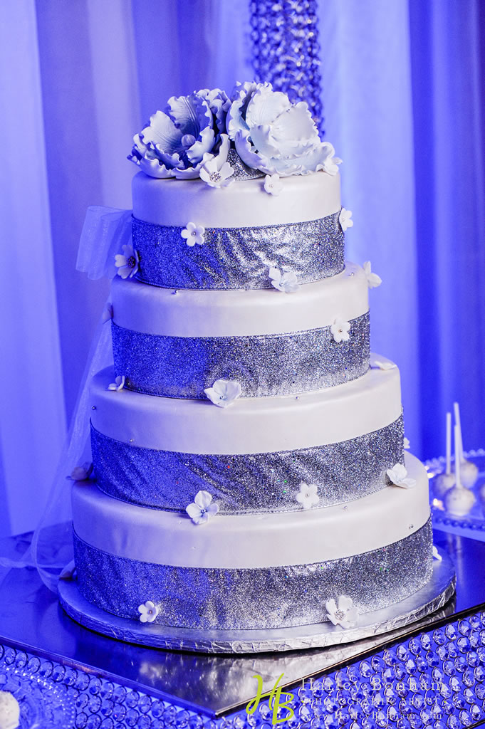 Phoenix winter catering cake